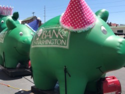 Little pigs ready to celebrate Cheers to 90 Years before the 2019 Washington Town & Country Fair parade
